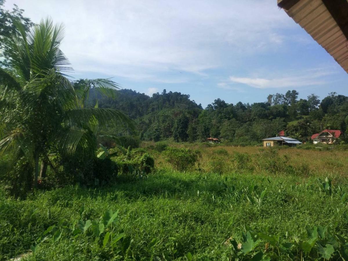 Nelmann'S Nipa Huts Hotel San Vicente  Bagian luar foto